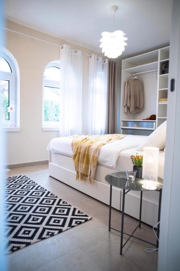 הוילה Sremska Kamenica Todor Boutique House מראה חיצוני תמונה